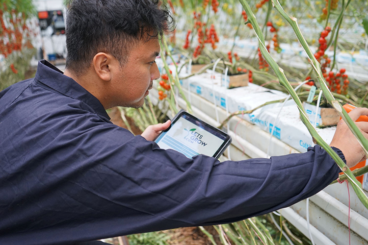 Teddy – Specialist in Datagedreven Teelt